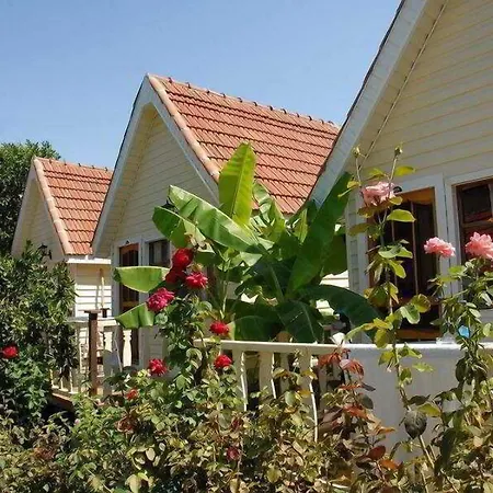 Clover Magic Nova Ξενοδοχείο