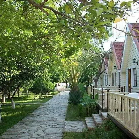 Clover Magic Nova Σιντέ