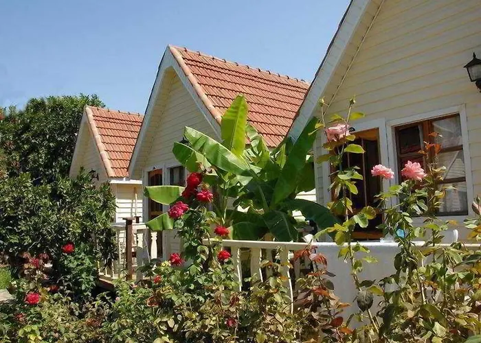 Clover Magic Nova 호텔