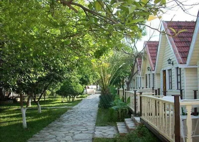 Clover Magic Nova 시데